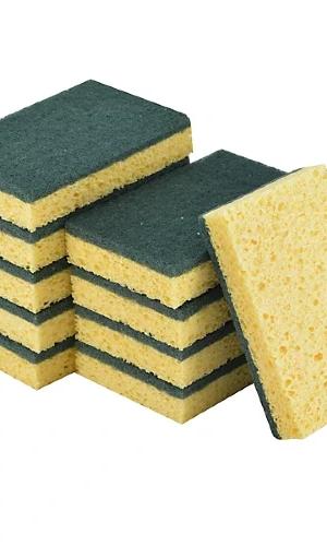 Sponge Scourers  10 Pcs By ELG