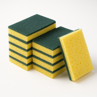 Sponge Scourers